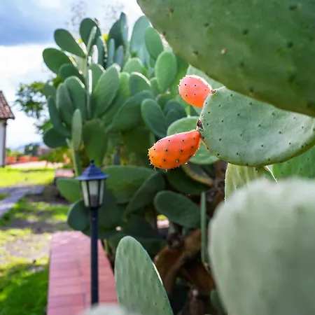 Fontana Del Cherubino *