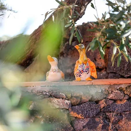 Fontana Del Cherubino * Santa Maria di Licodia