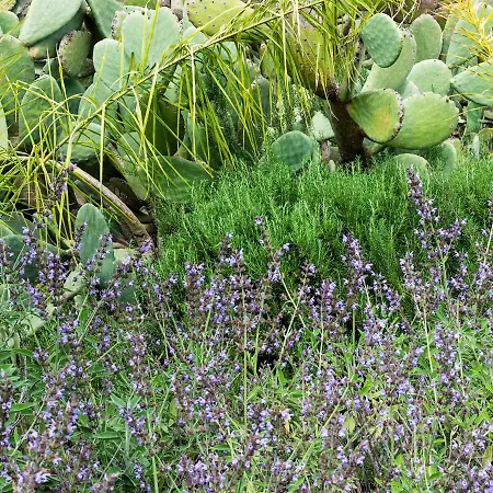 Fontana Del Cherubino Apartment Santa Maria di Licodia