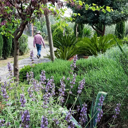 Fontana Del Cherubino * Santa Maria di Licodia
