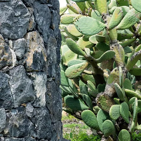 Fontana Del Cherubino Apartment Santa Maria di Licodia
